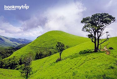 Bookmytripholidays | Destination Chickmagalur